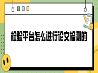 检验平台怎么进行论文检测的