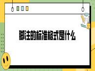 脚注的标准格式是什么